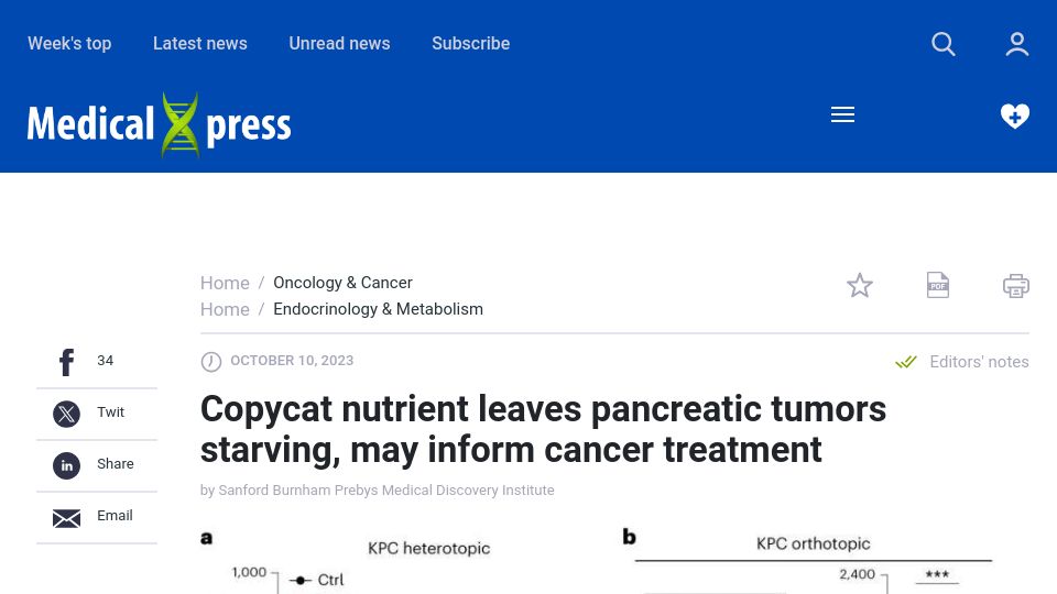Screenshot of medicalxpress.com: Copycat nutrient leaves pancreatic tumors starving, may inform cancer treatment