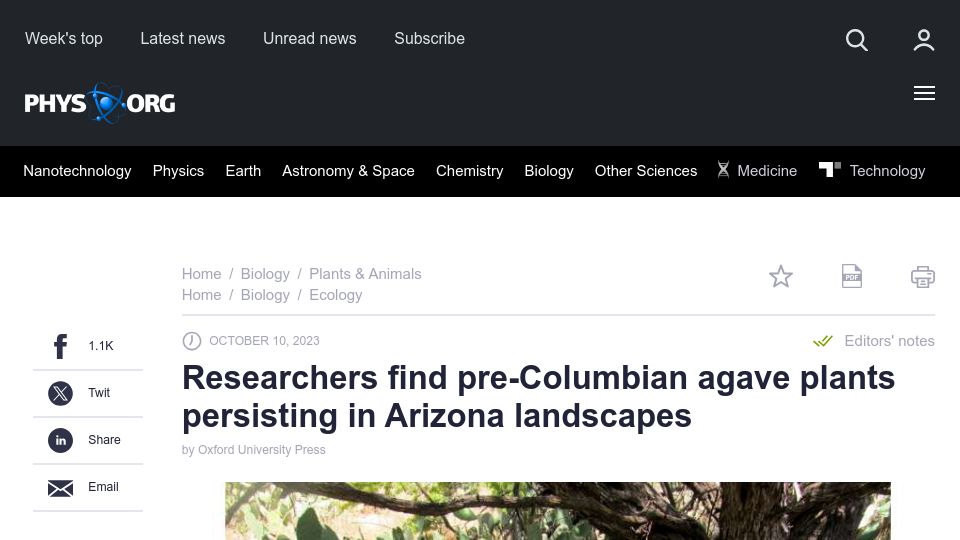 Screenshot of phys.org: Researchers find pre-Columbian agave plants persisting in Arizona landscapes
