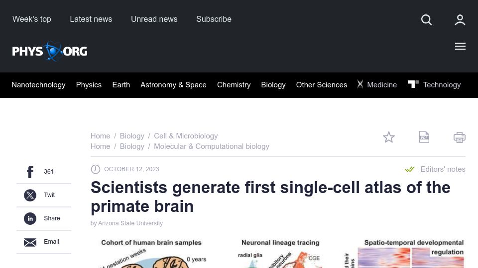 Screenshot of phys.org: Scientists generate first single-cell atlas of the primate brain