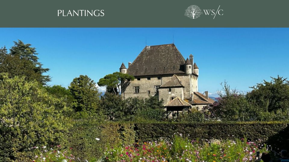 Screenshot of worldsensorium.com: The Garden of the Five Senses