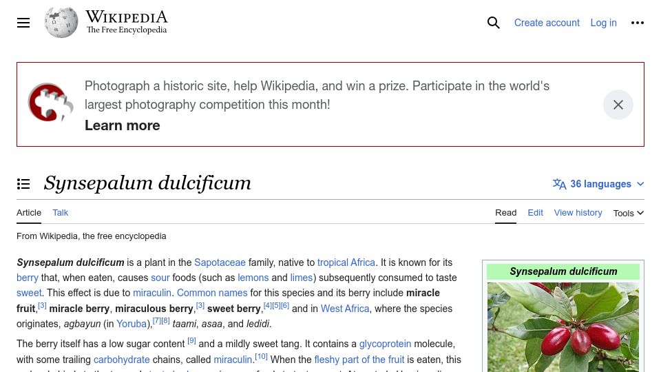 Screenshot of en.wikipedia.org: Synsepalum Dulcificum (Miracle Berry)