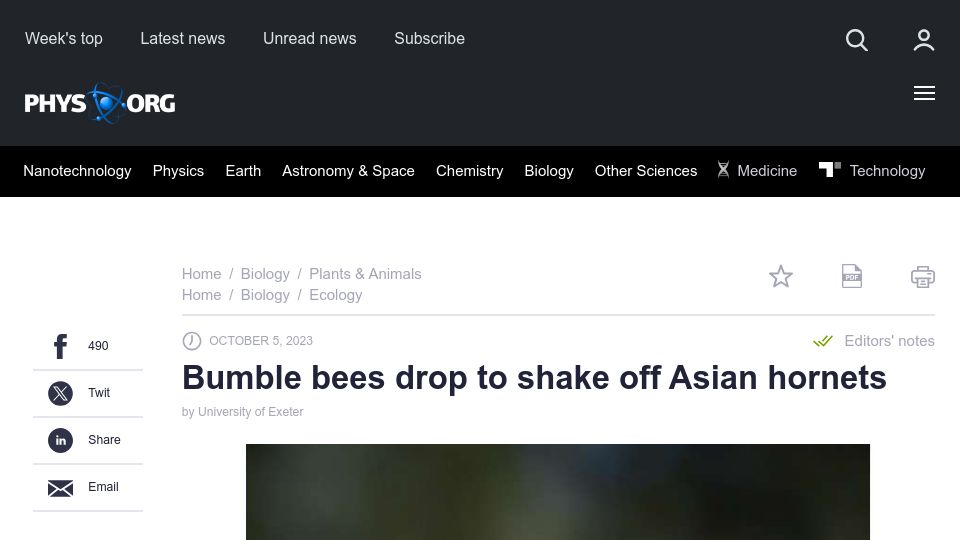 Screenshot of phys.org: Bumble bees drop to shake off Asian hornets