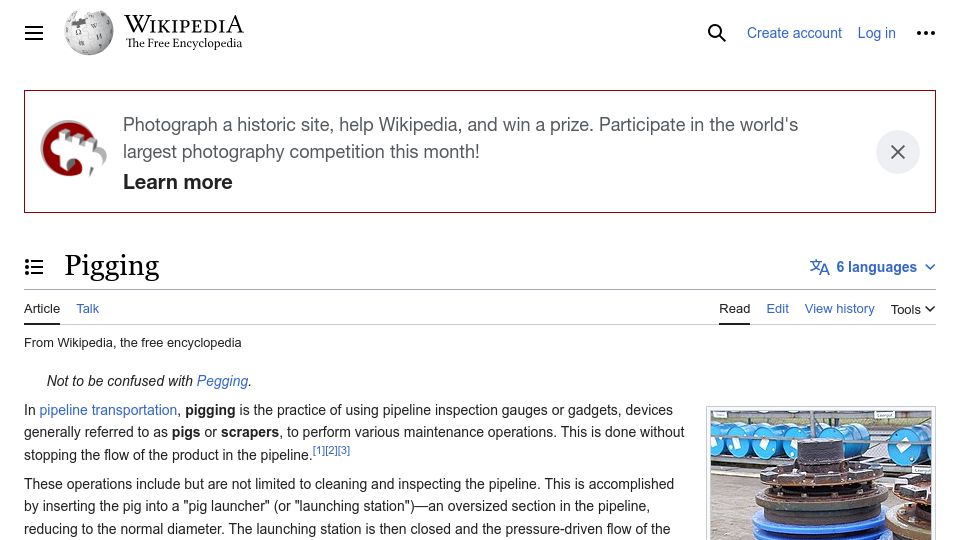 Screenshot of en.wikipedia.org: Pigging