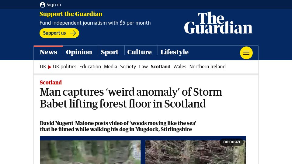 Screenshot of theguardian.com: Man captures 'weird anomaly' of Storm Babet lifting forest floor in Scotland