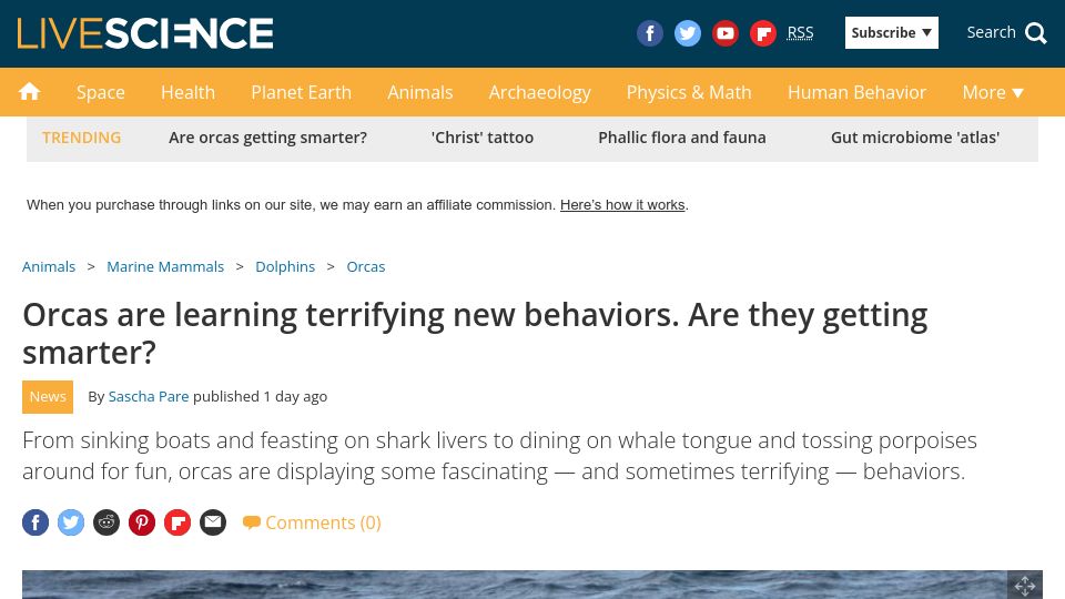Screenshot of livescience.com: Orcas are learning terrifying new behaviors. Are they getting smarter?