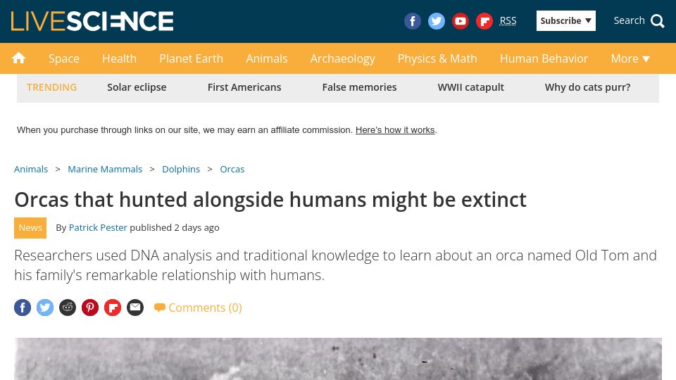 Screenshot of livescience.com: Orcas that hunted alongside humans might be extinct