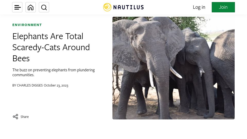 Screenshot of nautil.us: Elephants are scared around bees