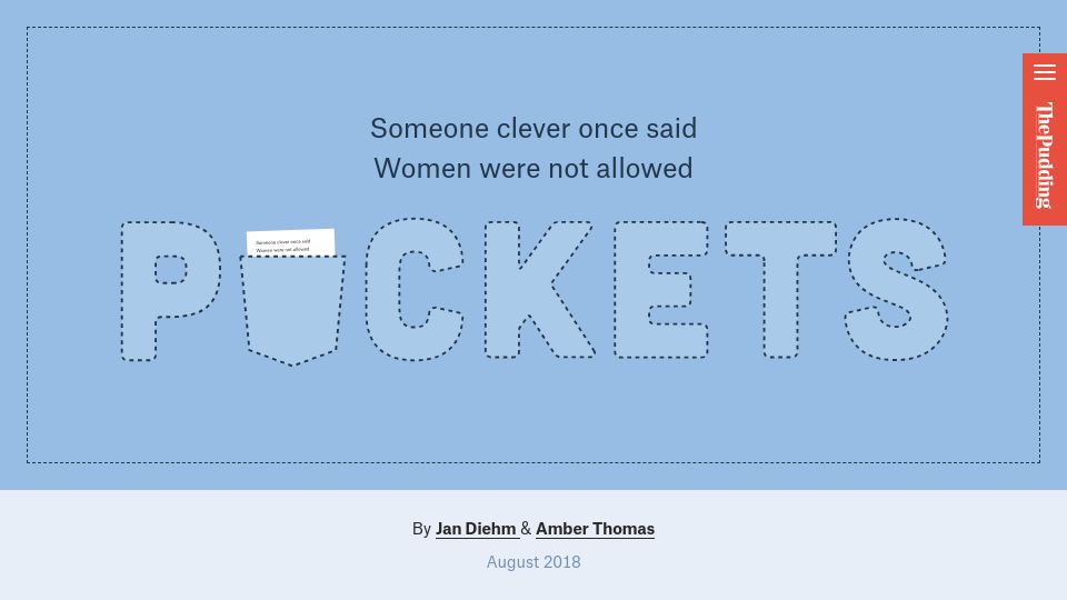 Screenshot of pudding.cool: Woman's Pockets Are Inferior