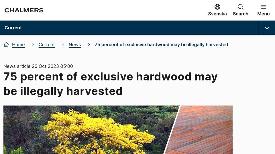 Screenshot of chalmers.se: Exclusive hardwood may be illegally harvested