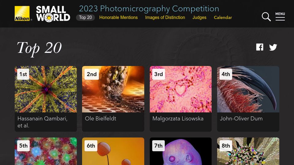 Screenshot of nikonsmallworld.com: Images from the 2023 Nikon Small World Photomicrography Competition