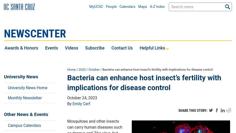 Screenshot of news.ucsc.edu: Bacteria enhances host insect's fertility with implications for disease control
