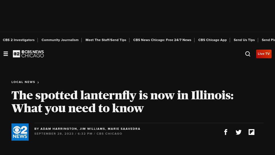 Screenshot of cbsnews.com: The spotted lanternfly is now in Illinois