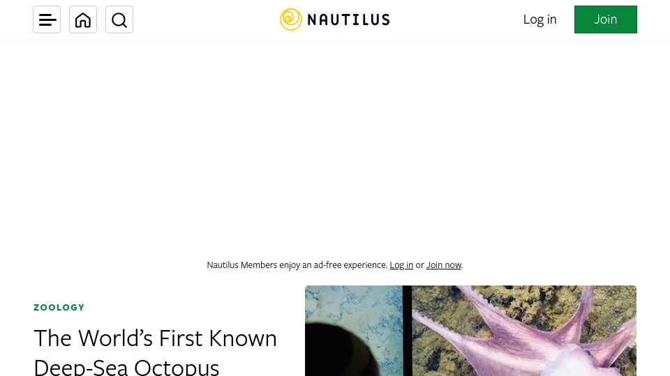Screenshot of nautil.us: Deep-Sea Octopus Nursery