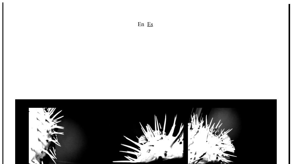 Screenshot of webzine.puffy.cafe: OpenBSD Webzine Special 2023