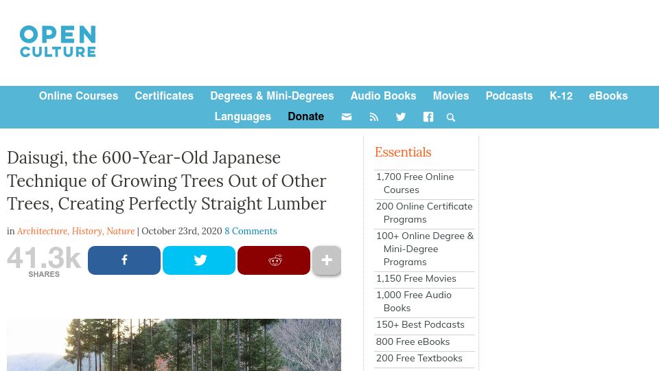 Screenshot of openculture.com: Daisugi, the Japanese technique of growing trees out of other trees (2020)