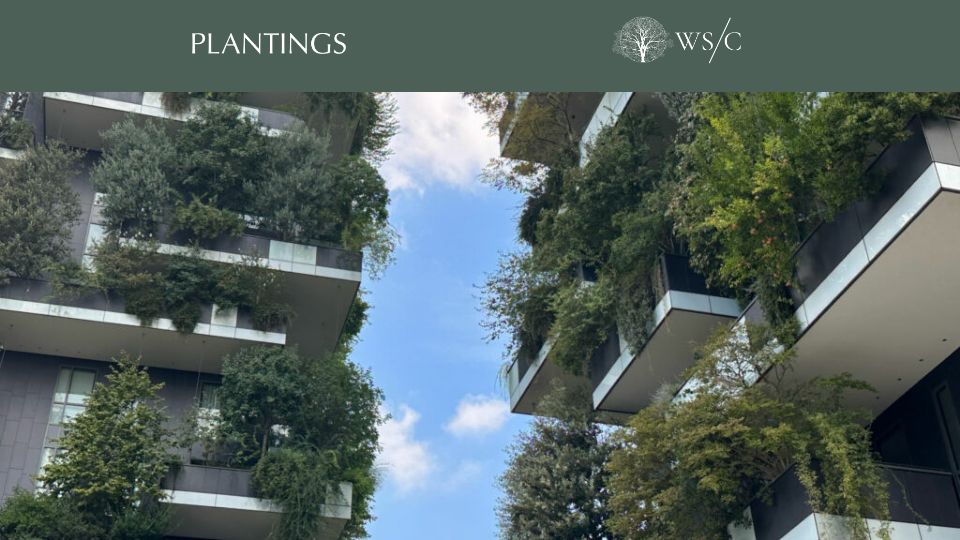 Screenshot of worldsensorium.com: The Greening of Milan: Porta Nuova and Vertical Forest