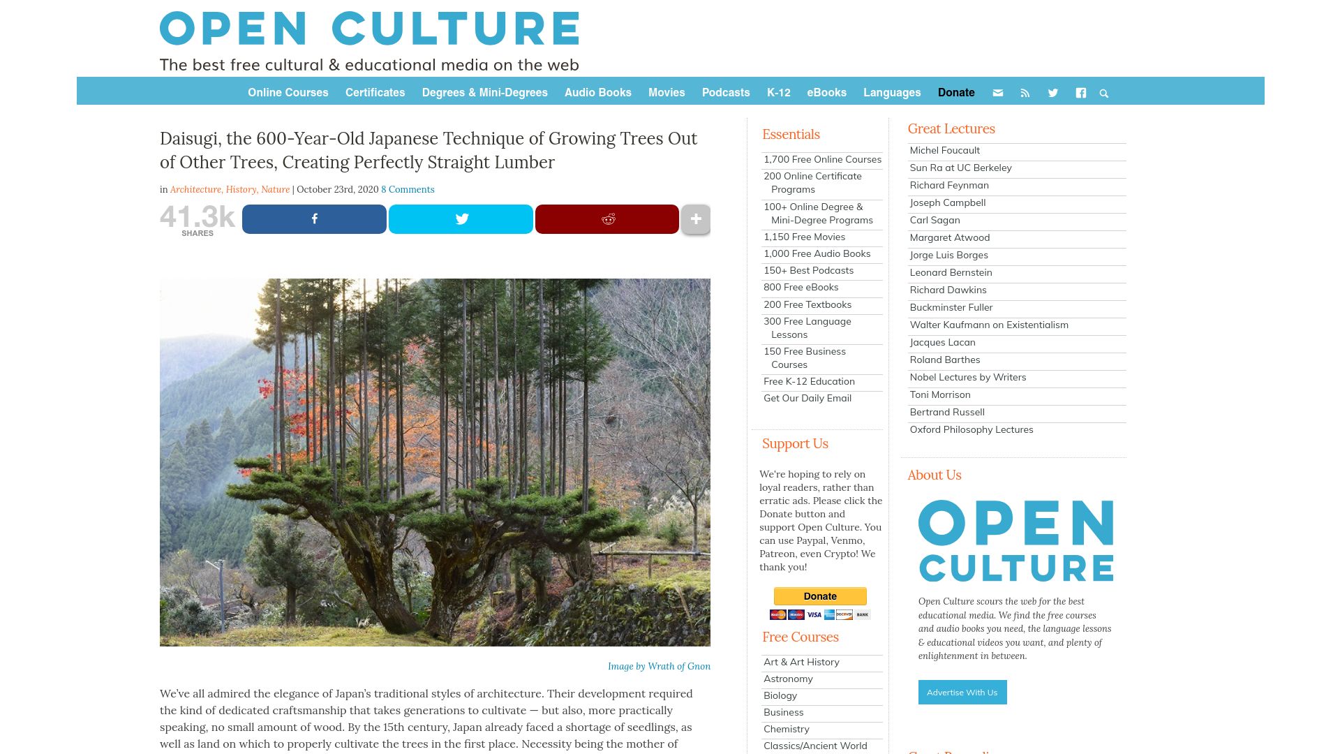 Screenshot of openculture.com: Daisugi, the Japanese technique of growing trees out of other trees (2020)