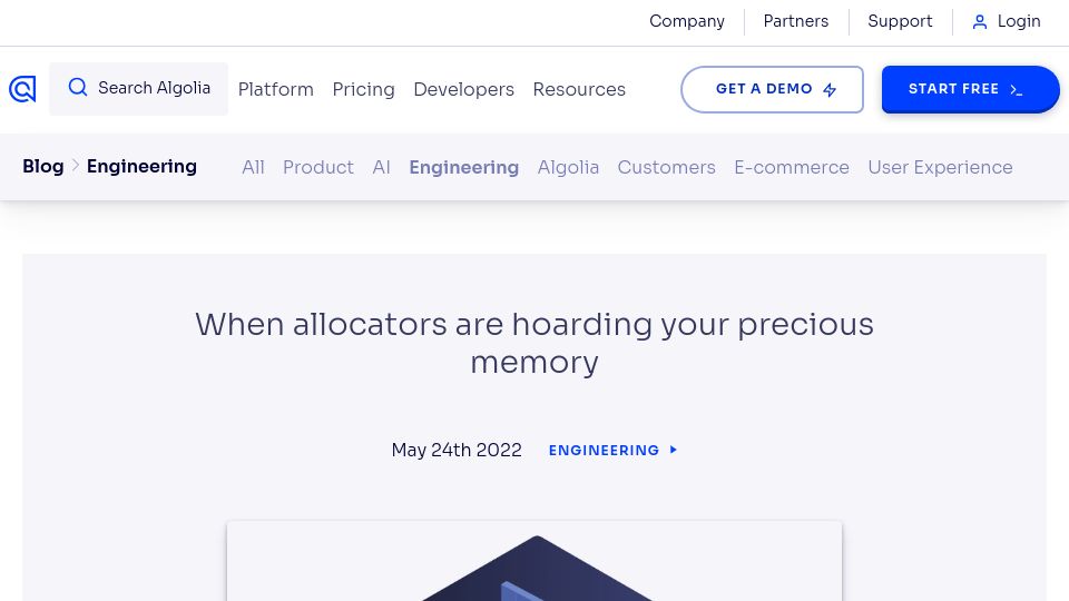 Screenshot of algolia.com: When allocators are hoarding your precious memory (2021)