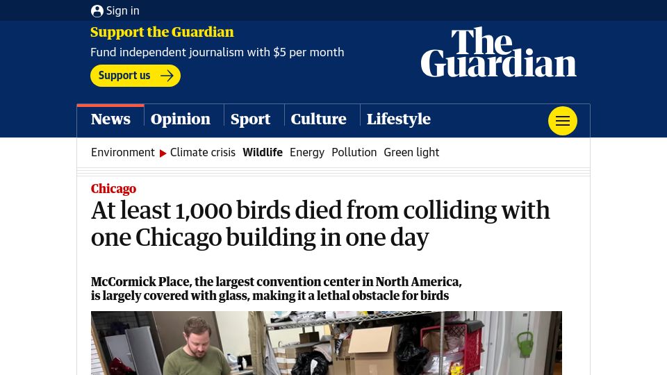 Screenshot of theguardian.com: The glass at McCormick Place in Chicago is a lethal obstacle for birds