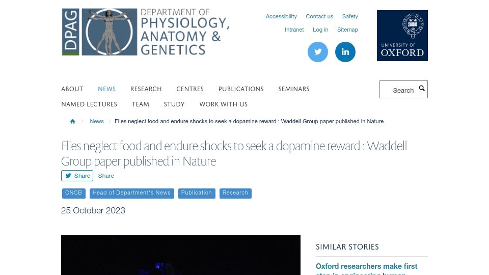 Screenshot of dpag.ox.ac.uk: Flies neglect food and endure shocks to seek a dopamine reward