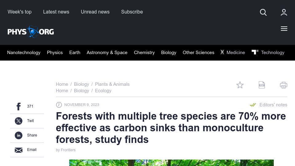 Screenshot of phys.org: Forests with multiple tree species are more effective as carbon sinks