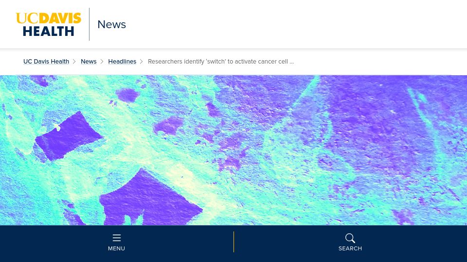 Screenshot of health.ucdavis.edu: Researchers identify 'switch' to activate cancer cell death