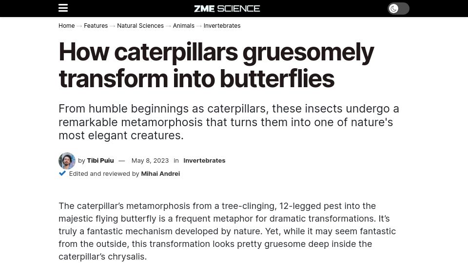 Screenshot of zmescience.com: How Caterpillars Gruesomely Transform into Butterflies