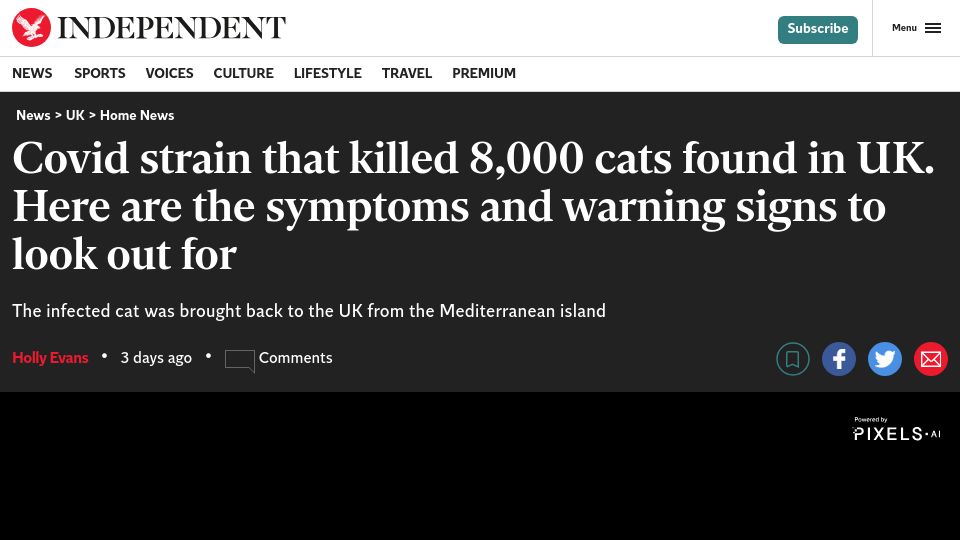 Screenshot of independent.co.uk: Covid strain that killed 8k cats found in UK