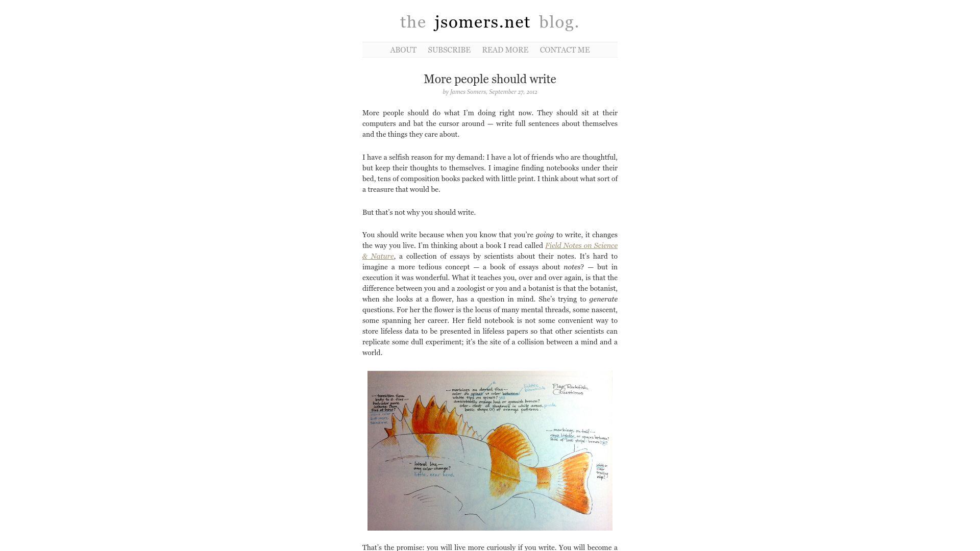 Screenshot of jsomers.net: More people should write (2012)