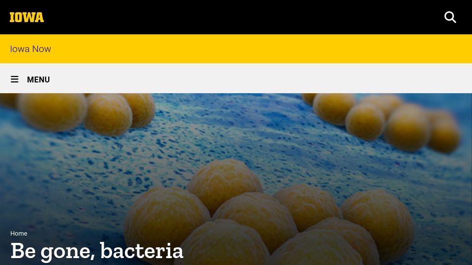 Screenshot of now.uiowa.edu: MRSA lives in your nose; swab before surgery