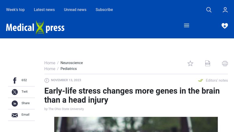Screenshot of medicalxpress.com: Early-life stress changes more genes in the brain than a head injury in rats