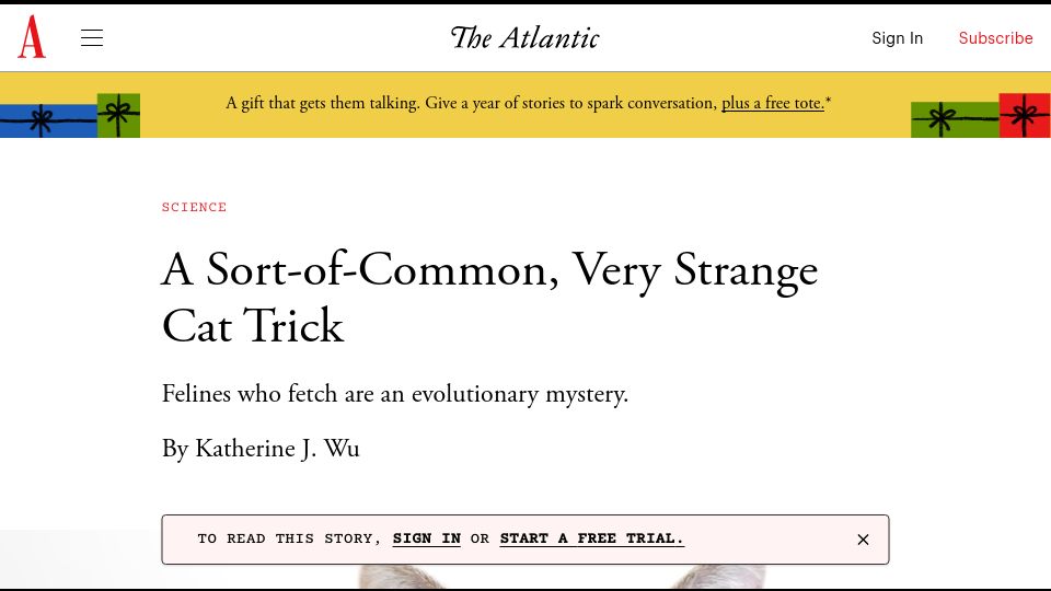 Screenshot of theatlantic.com: Cats That Fetch Are an Evolutionary Mystery