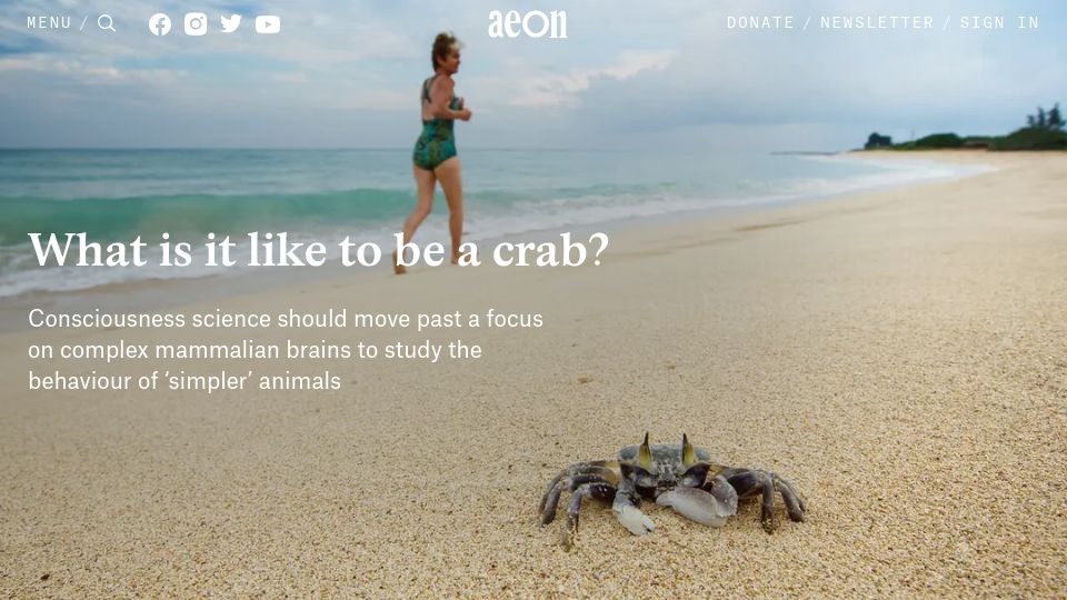 Screenshot of aeon.co: What is it like to be a crab?