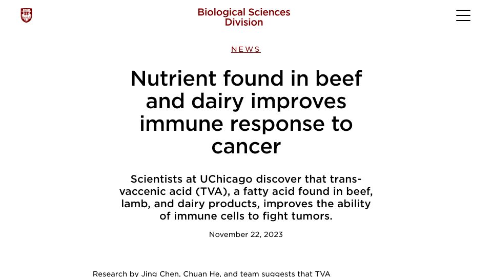 Screenshot of biologicalsciences.uchicago.edu: Nutrient found in beef and dairy improves immune response to cancer