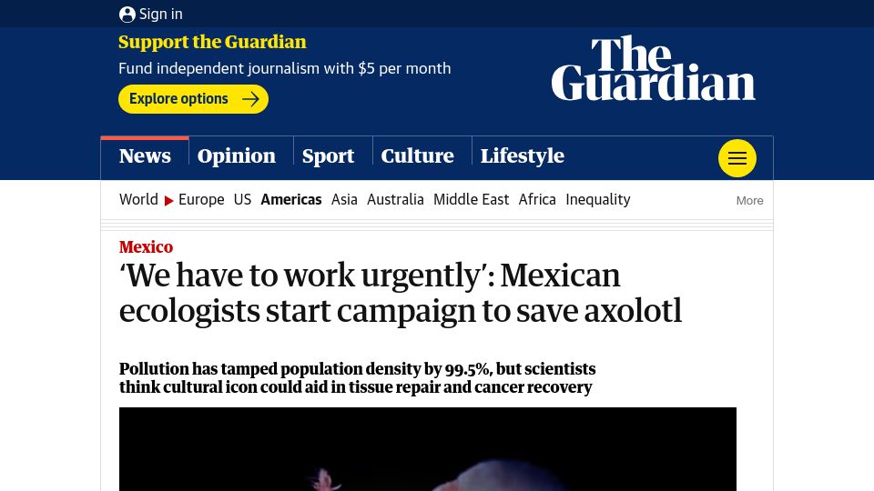 Screenshot of theguardian.com: Mexican ecologists start campaign to save axolotl