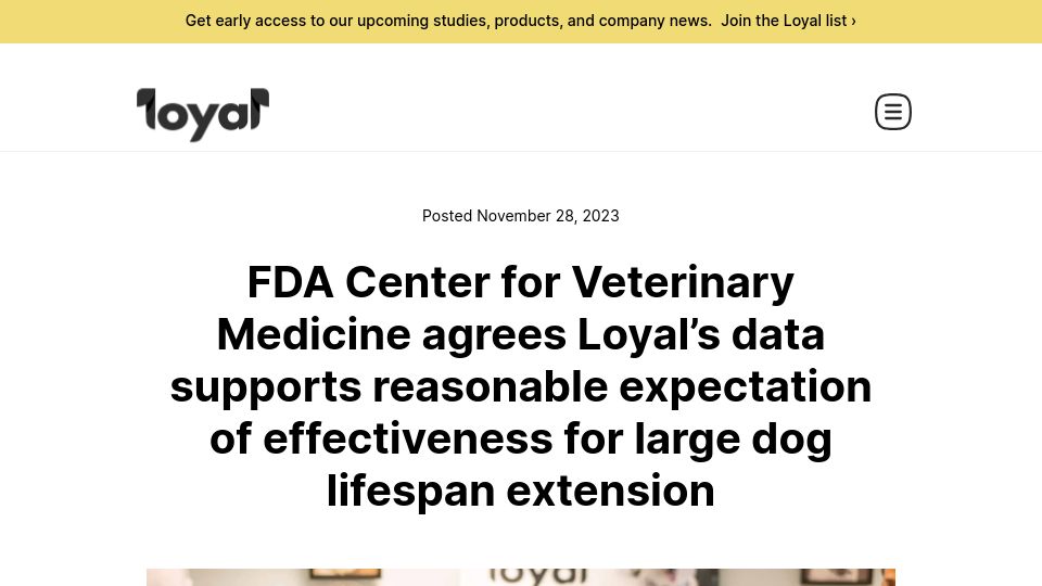 Screenshot of loyalfordogs.com: Reasonable expectation of effectiveness for large dog lifespan extension