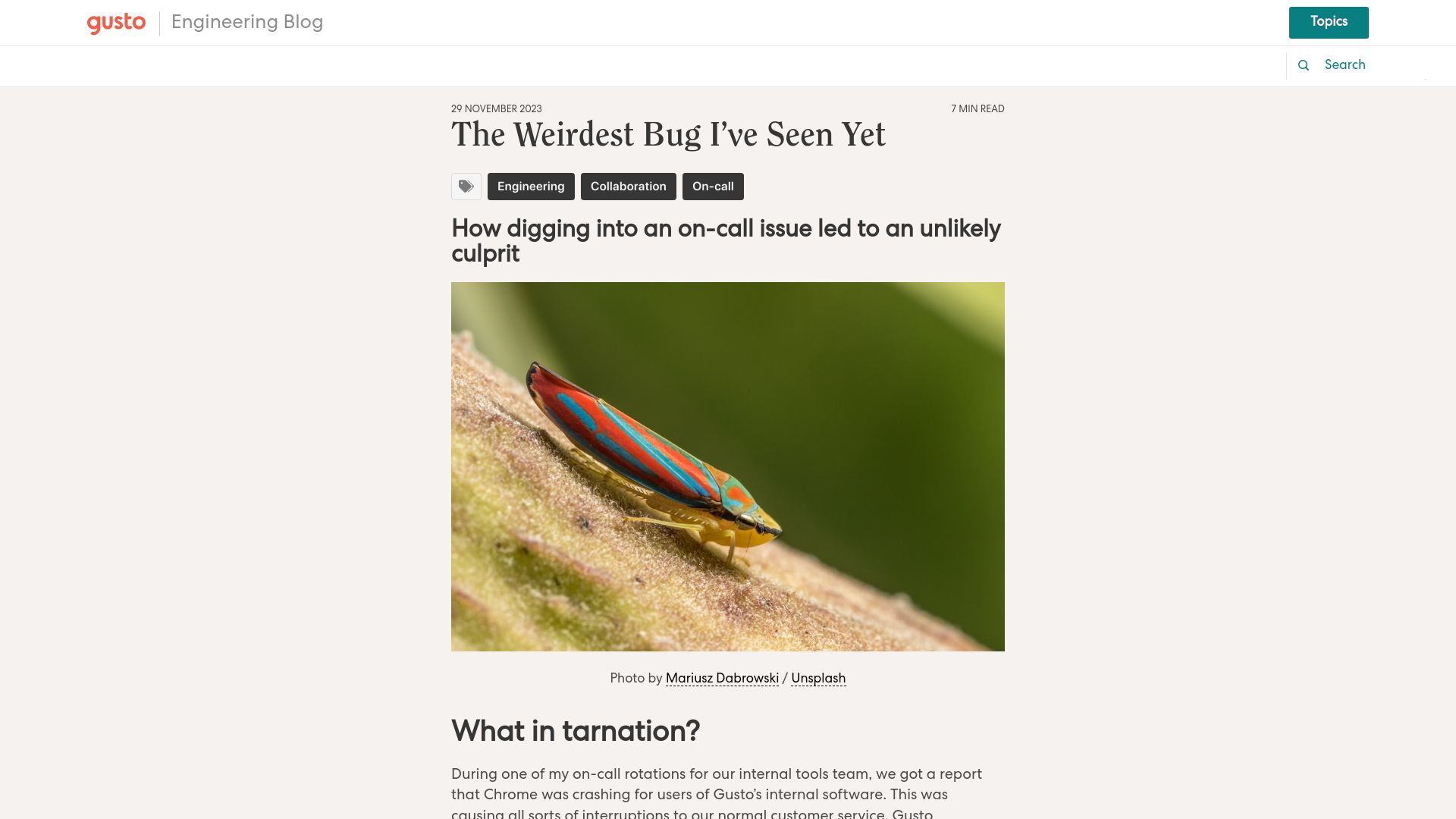 Screenshot of engineering.gusto.com: The weirdest bug I've seen yet