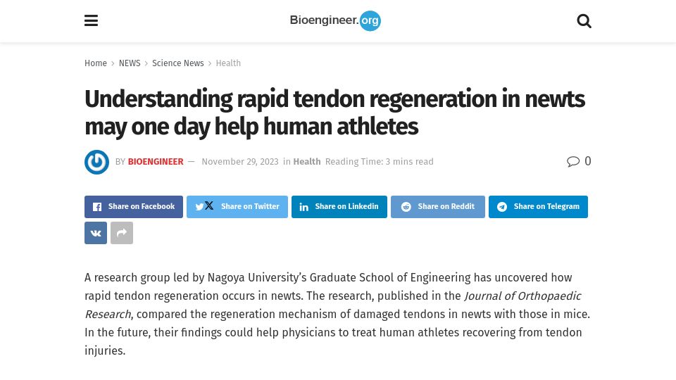 Screenshot of bioengineer.org: Understanding rapid tendon regeneration in newts may one day help human athletes