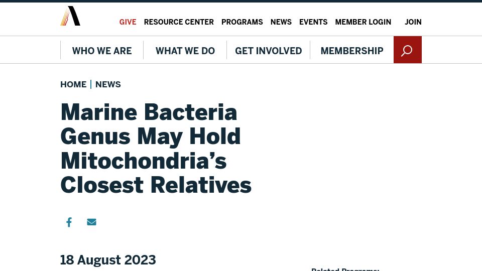 Screenshot of aaas.org: Marine bacteria genus may hold mitochondria's closest relatives