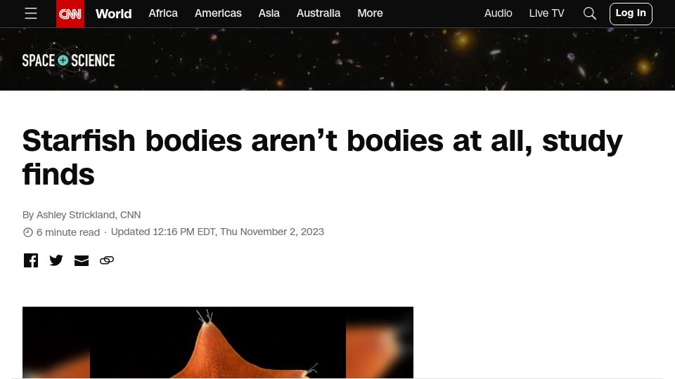 Screenshot of cnn.com: Starfish bodies aren’t bodies at all, study finds