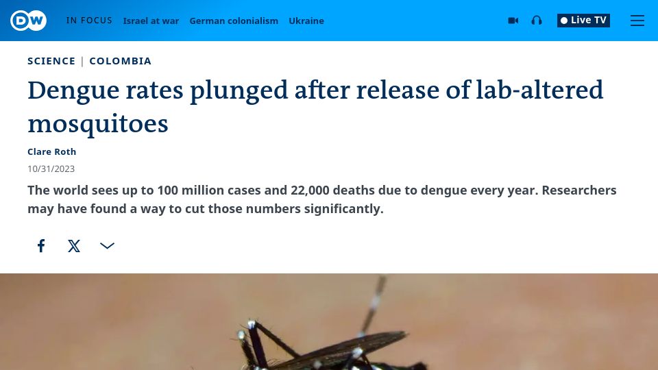 Screenshot of dw.com: Dengue rates plunged after release of lab-altered mosquitoes