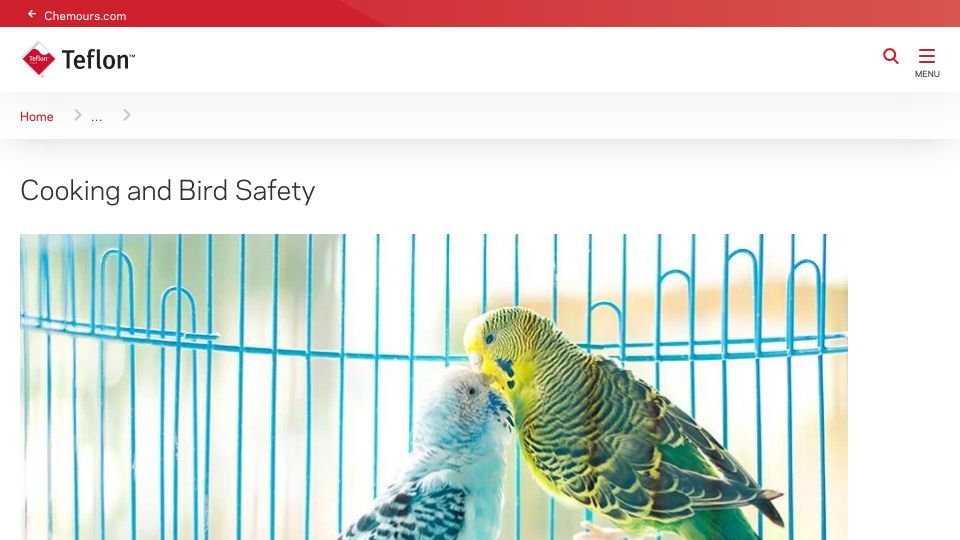 Screenshot of teflon.com: Teflon is still toxic to birds