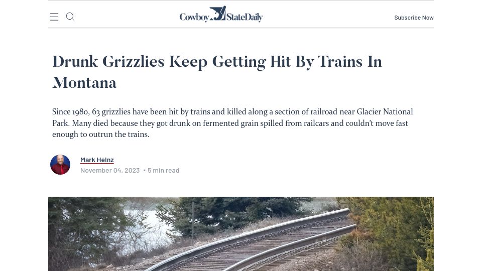 Screenshot of cowboystatedaily.com: Drunk grizzlies keep getting hit by trains in Montana