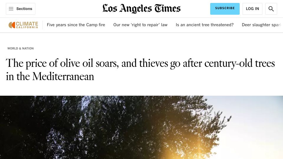 Screenshot of latimes.com: Olive oil soars, and thieves go after century-old trees in the Mediterranean