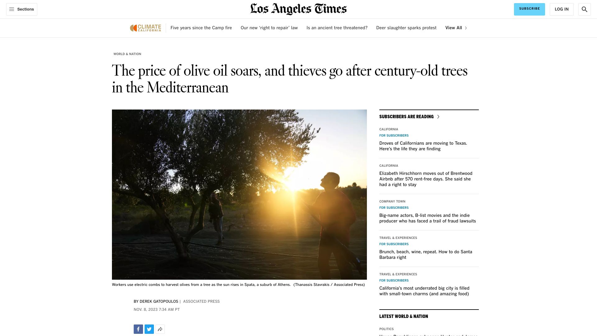 Screenshot of latimes.com: Olive oil soars, and thieves go after century-old trees in the Mediterranean