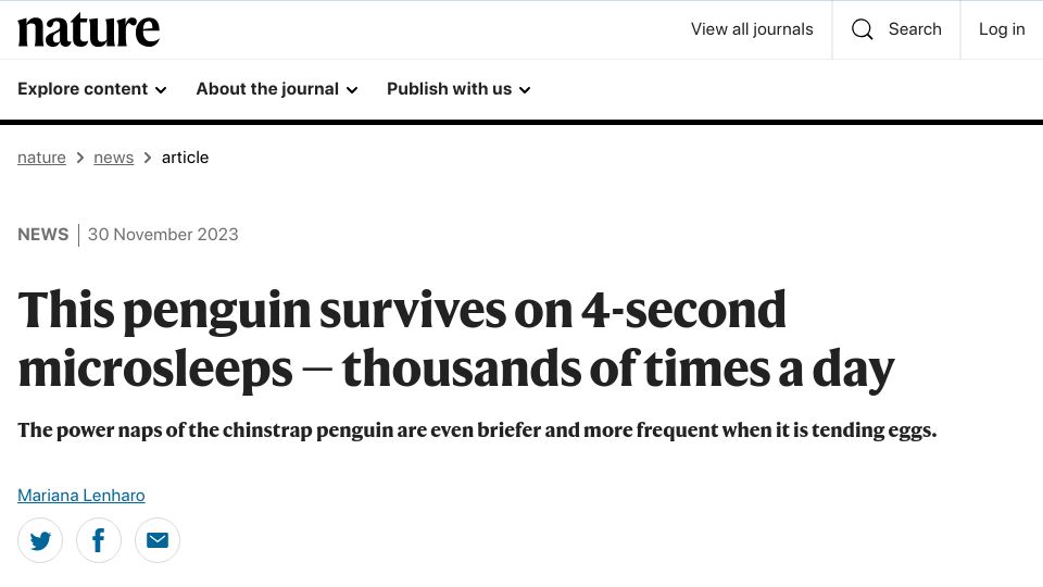Screenshot of nature.com: Penguin survives on 4-second microsleeps – times a day