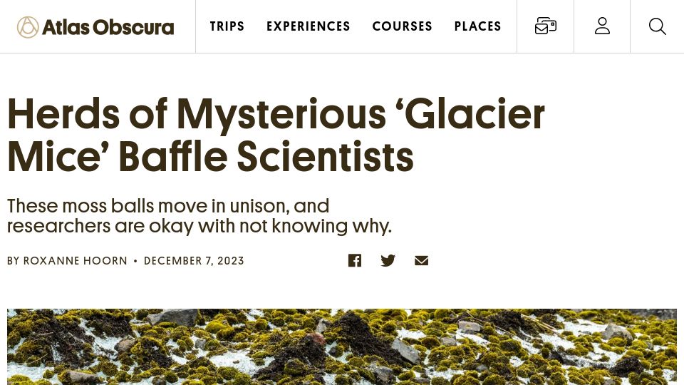 Screenshot of atlasobscura.com: 'Glacier mice' baffle scientists