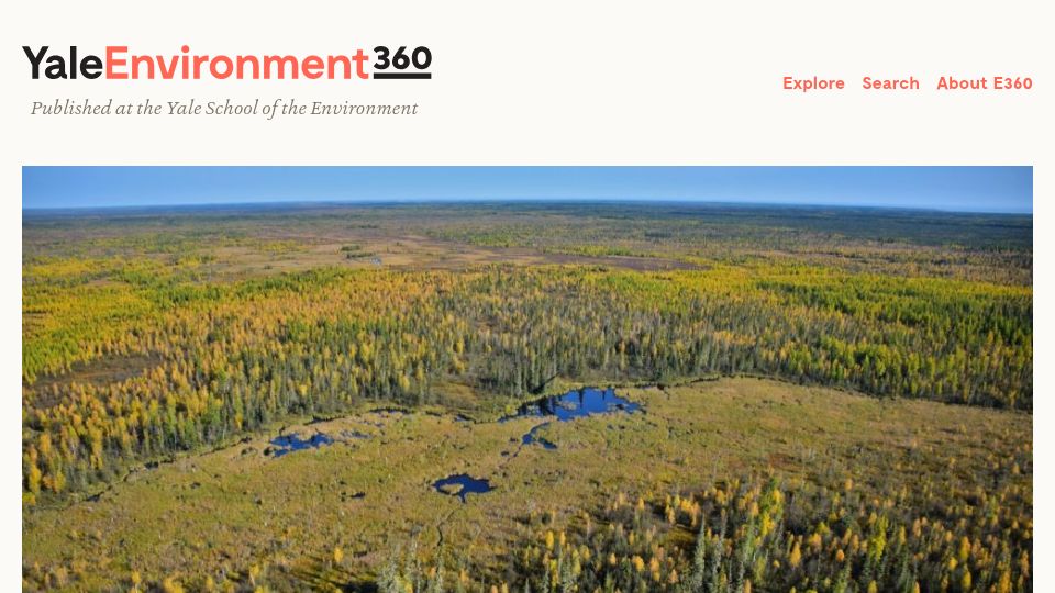 Screenshot of e360.yale.edu: Deep in the wilderness, the largest beaver dam endures