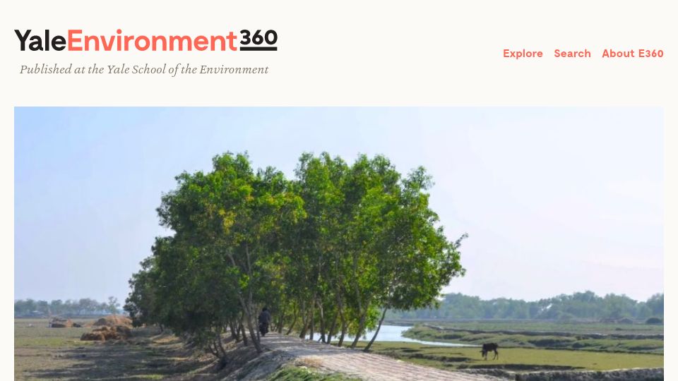 Screenshot of e360.yale.edu: 'Green roads' are plowing ahead, buffering drought and floods