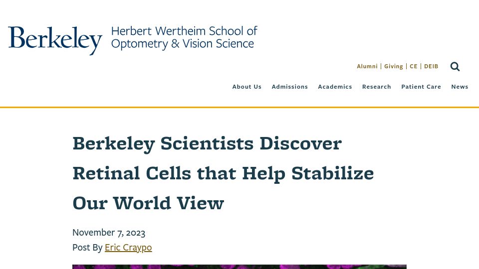 Screenshot of optometry.berkeley.edu: Retinal cells that help stabilize our world view